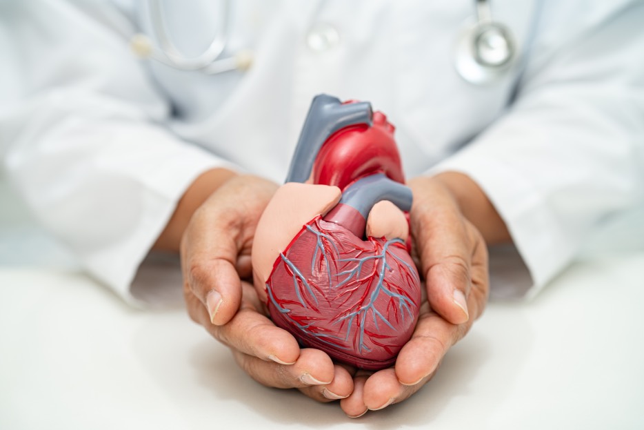 ¿Qué es el cuidado cardiovascular?